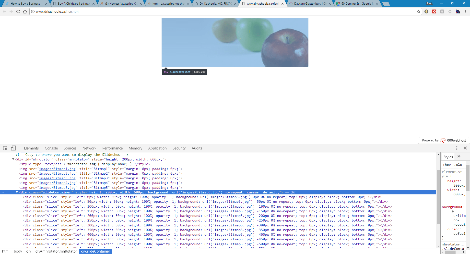 html Javascript not showing up Stack Overflow