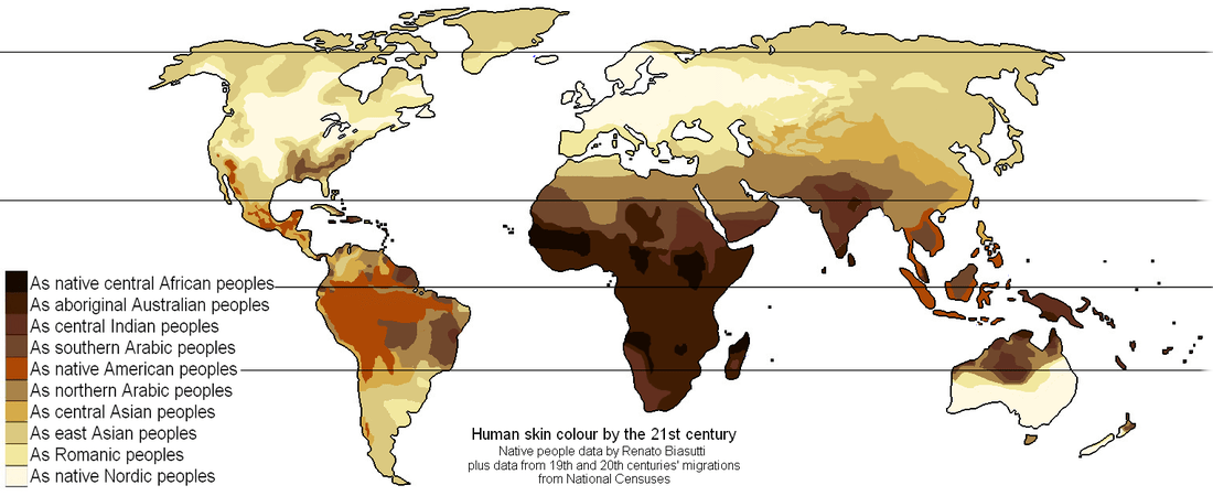 Why did evolution make people's skin dark? Biology Stack Exchange