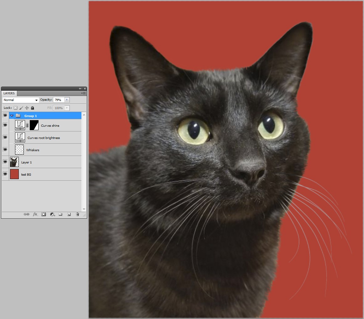 workflow How to isolate a cat's whiskers from background in 2020? Graphic Design