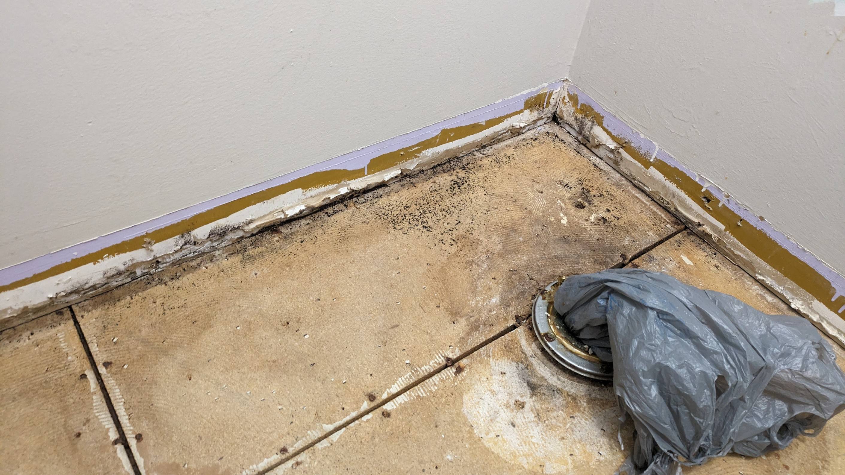 Restroom baseboard mold removal Replace drywall or just clean? Home