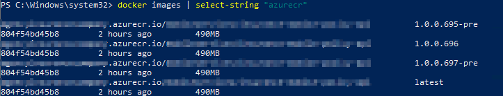 powershell Docker rmi Error response from daemon invalid reference format repository name