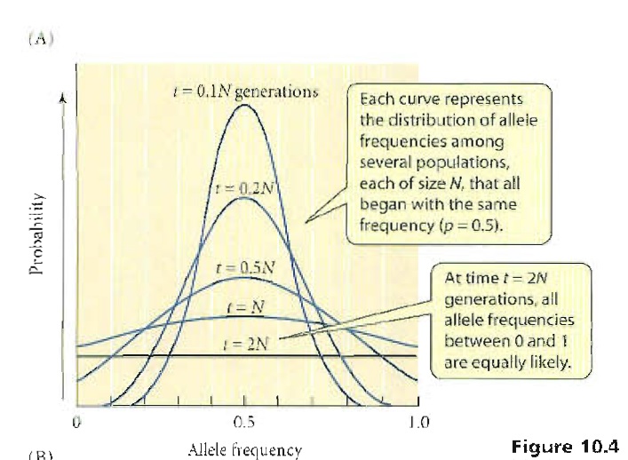 evolution Interpretation of graph from evolutionary biology Biology