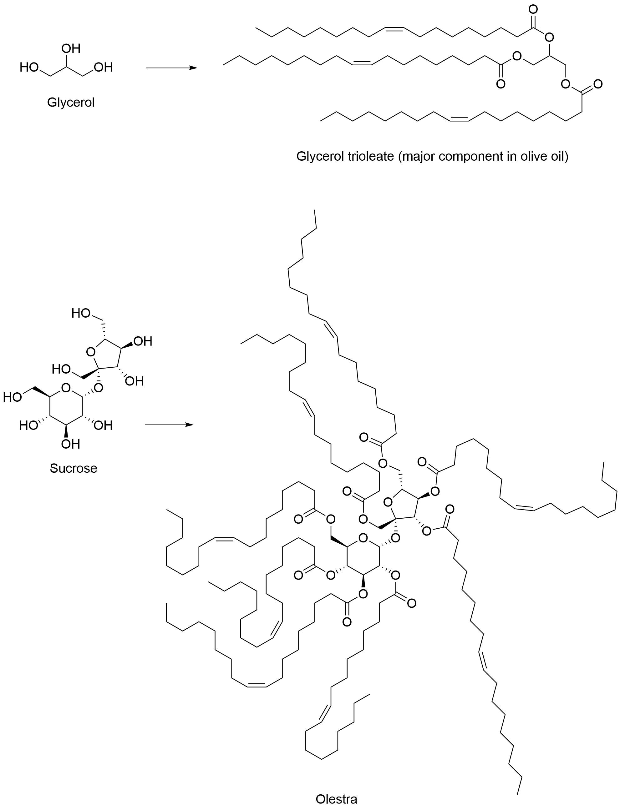 food chemistry Can fats be composed of fatty acid esters other than