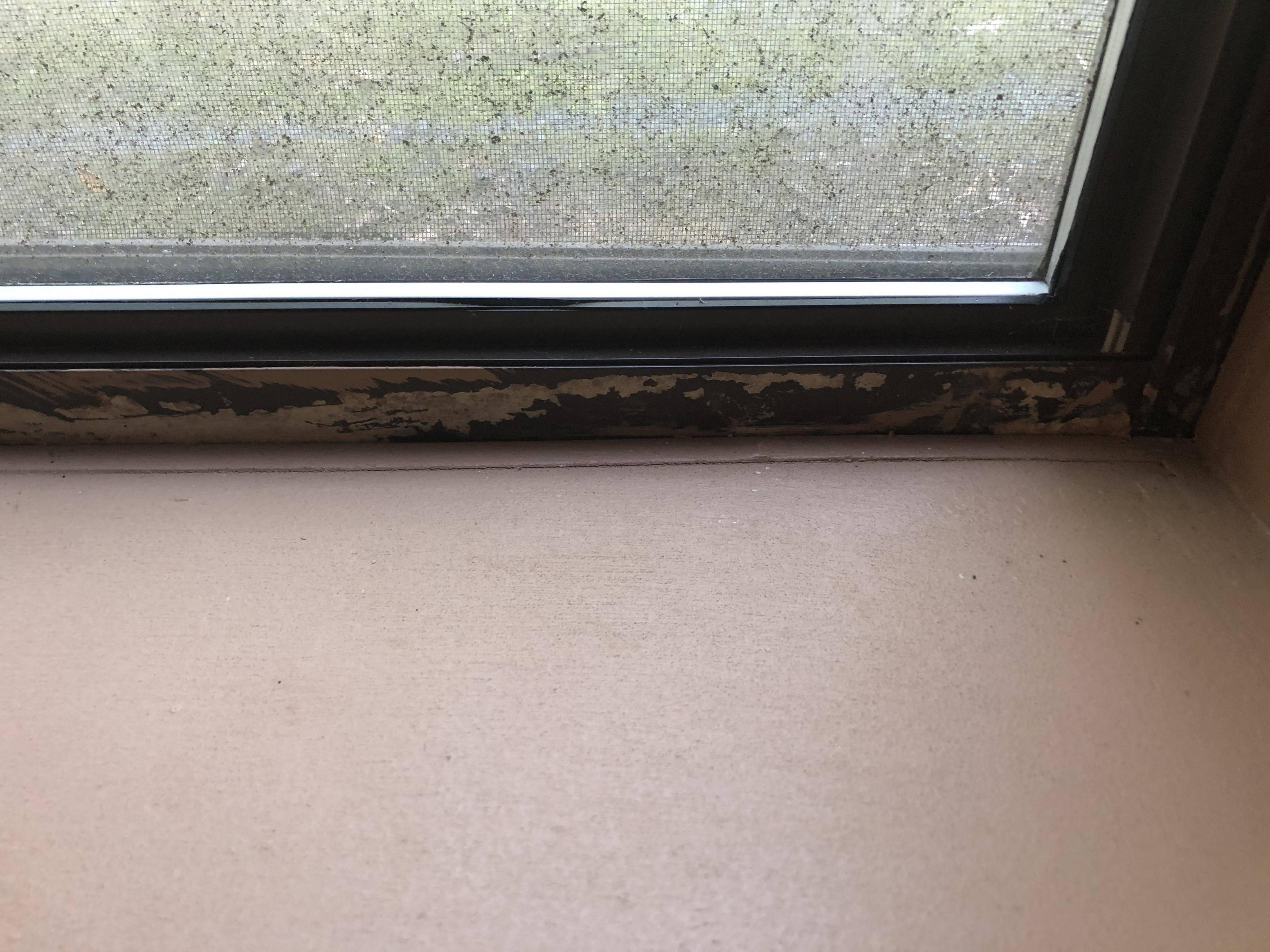 Replacing rotted out window sill in basement block wall DoItYourself
