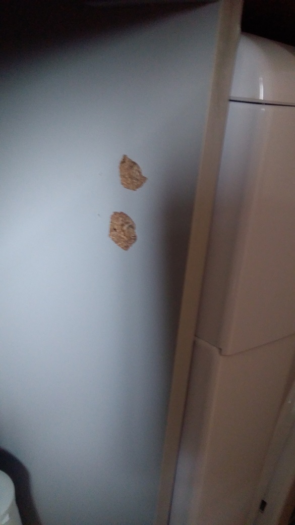 anchor How can I reattach a kitchen door hinge with plastic