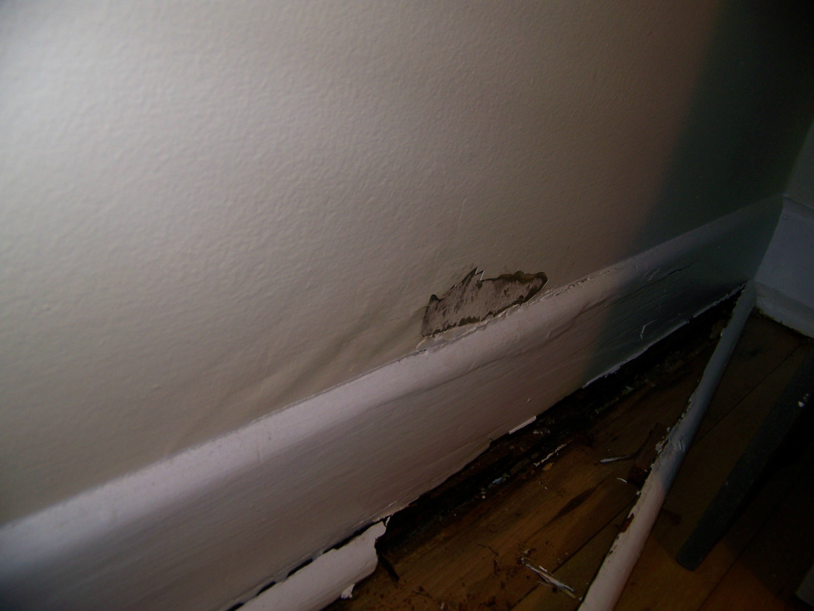 wood Is this water damage, dry rot, or just old age? Home