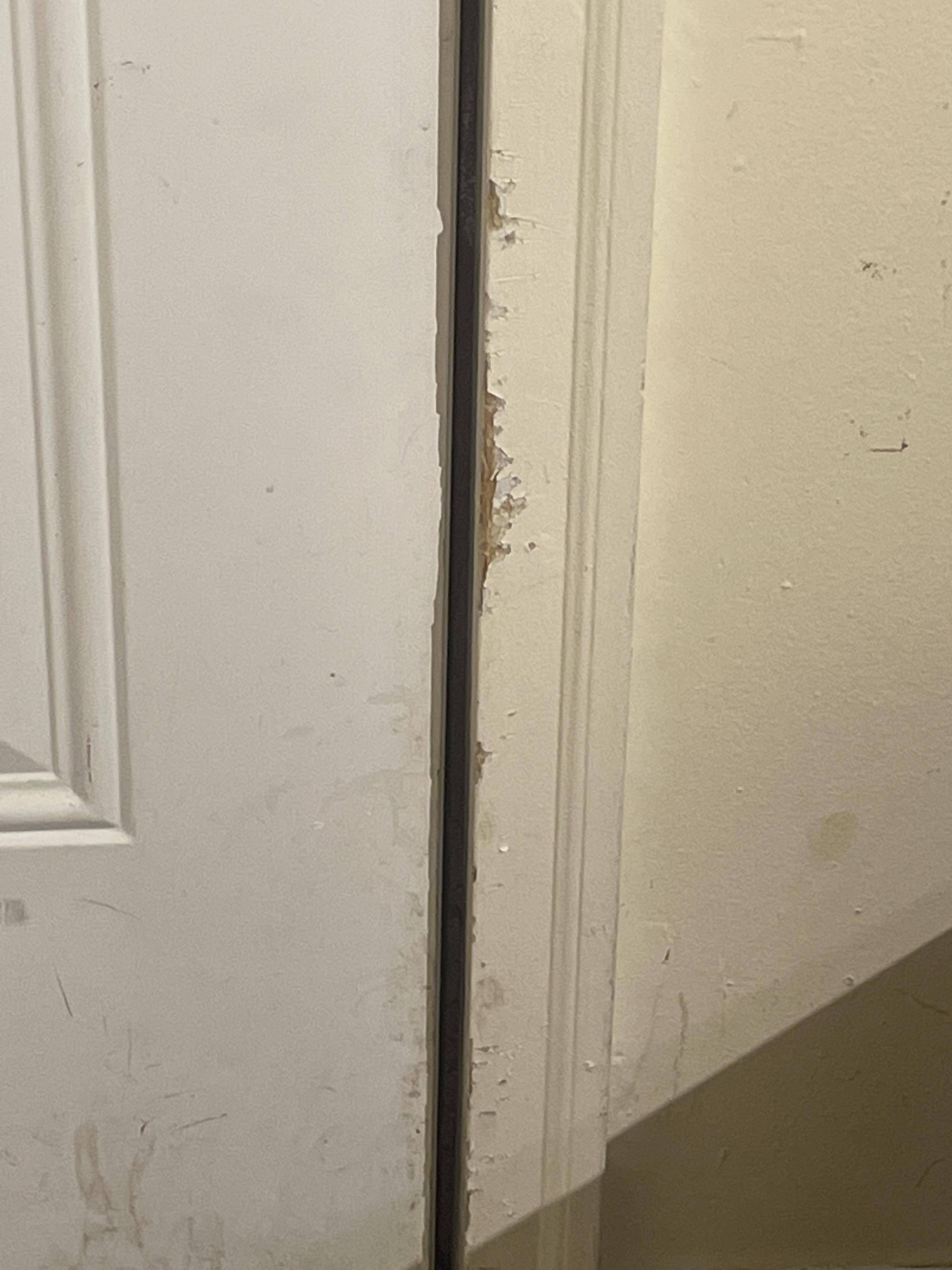 Dog scratches on door frames - Home Improvement Stack Exchange