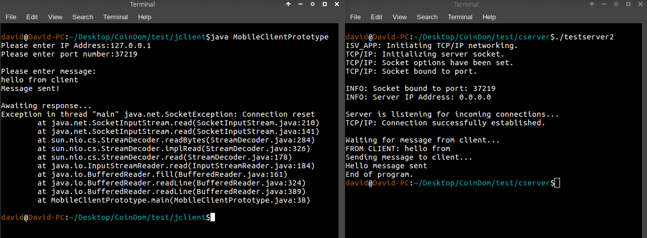 Java client throws SocketException Connection reset when receiving