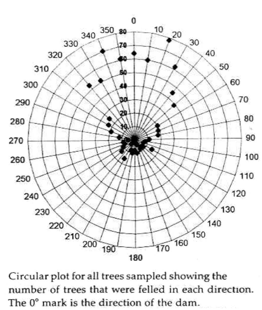 ecology Can beavers control the direction a tree falls? Biology