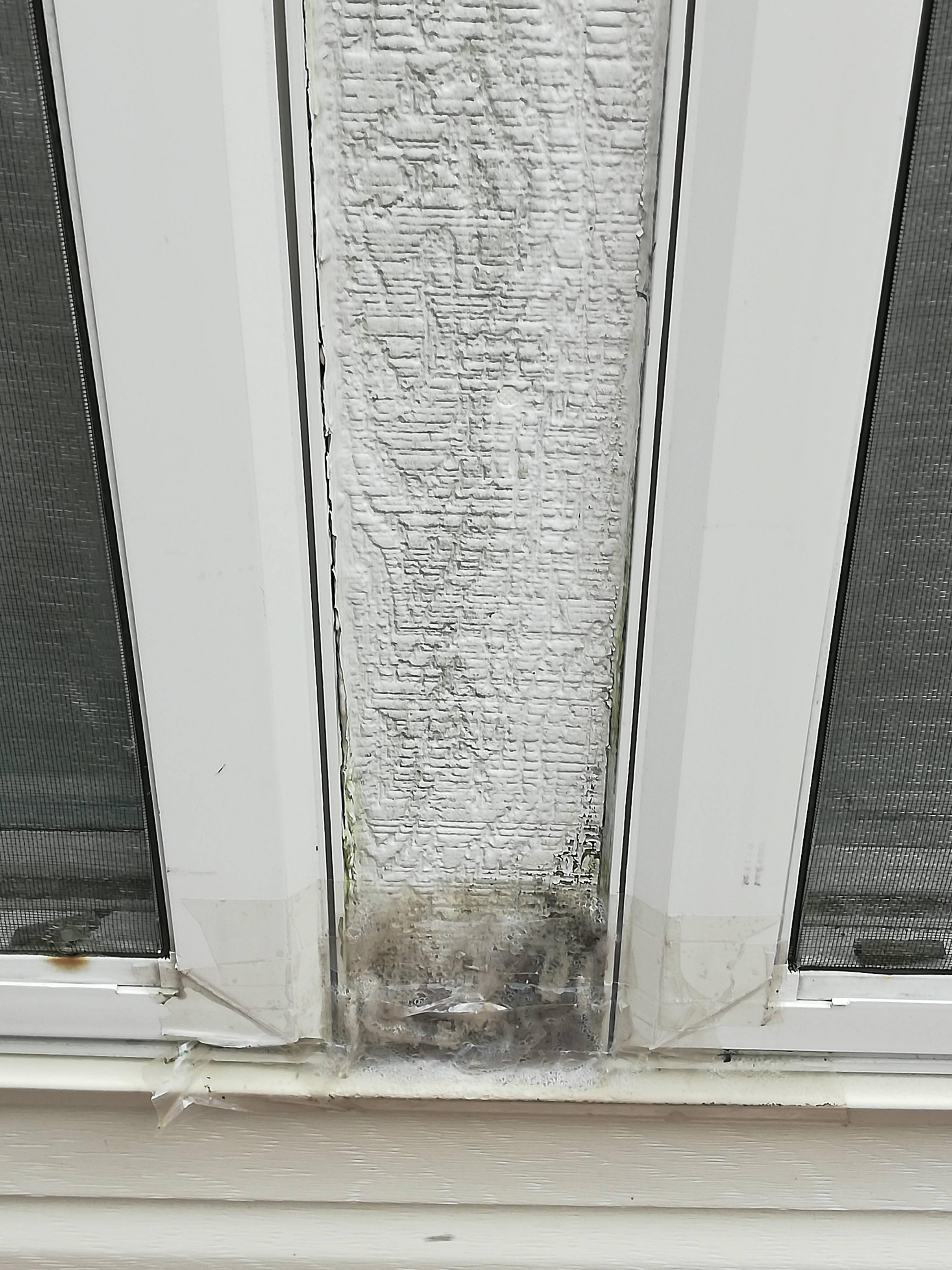 Wood between my windows is rotting, how do I fix this? Home