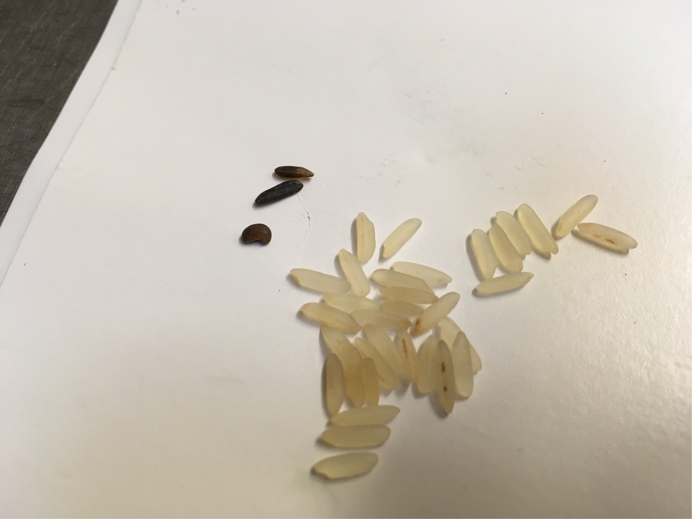 Black rice mixed in white Seasoned Advice