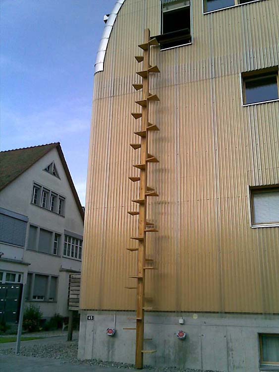 training Can I make my cat answer nature's call at specific times