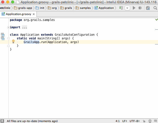 java 8 IntelliJ IDEA 15 RC2 (build 143.380.20) Grails Debug Mode