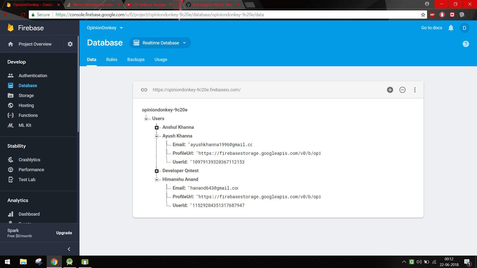 When retrieving url stored in firebase database it is crashing app