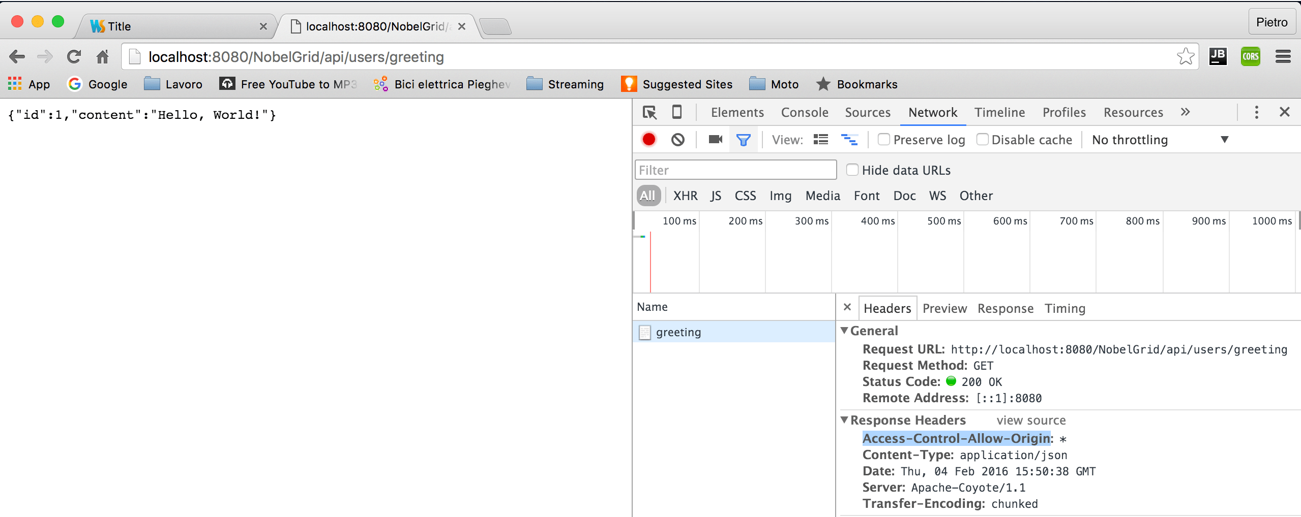 javascript AccessControlAllowOrigin not working in AngularJS