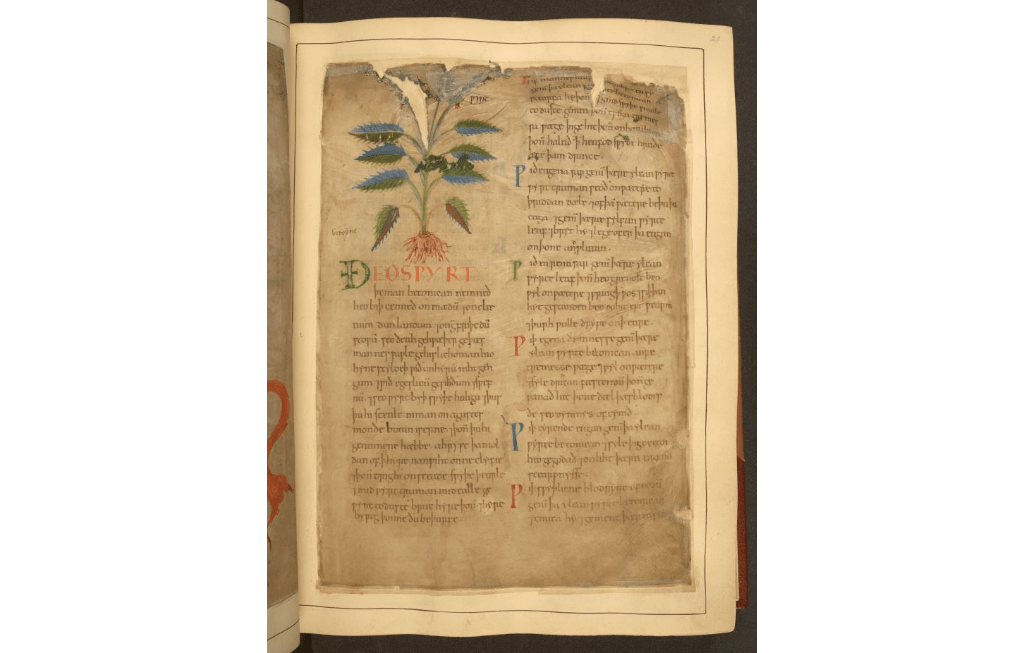 middle ages What is the best book to learn about medicine in medieval