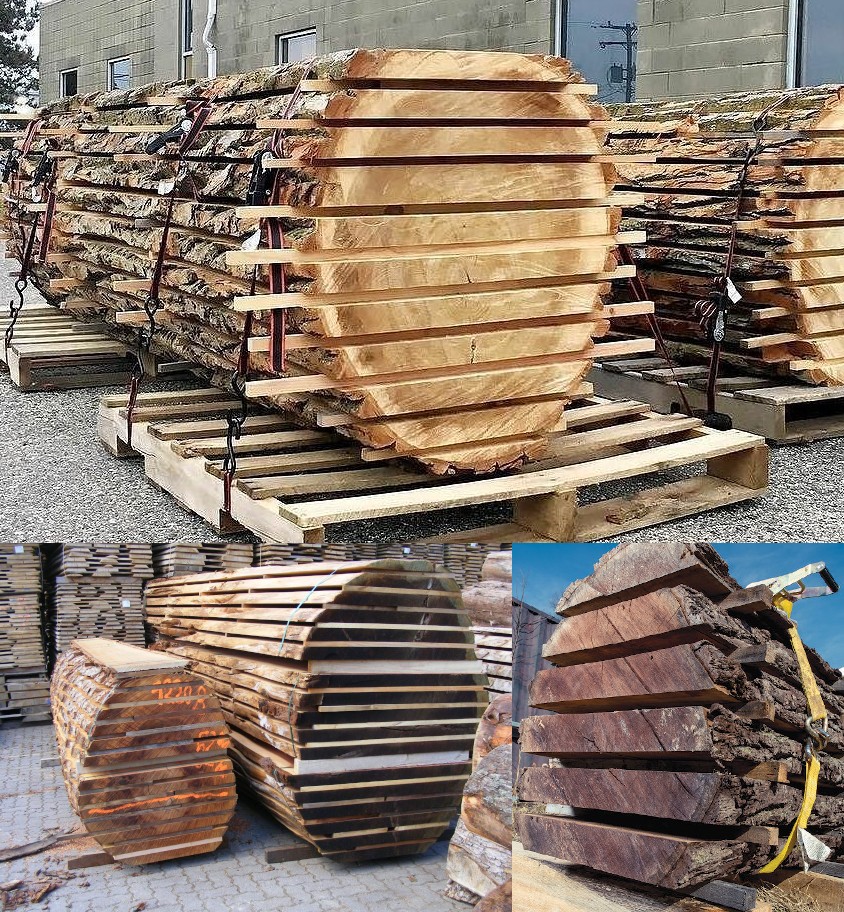 storage Store timber as logs or as slabs? [Acacia sieberiana