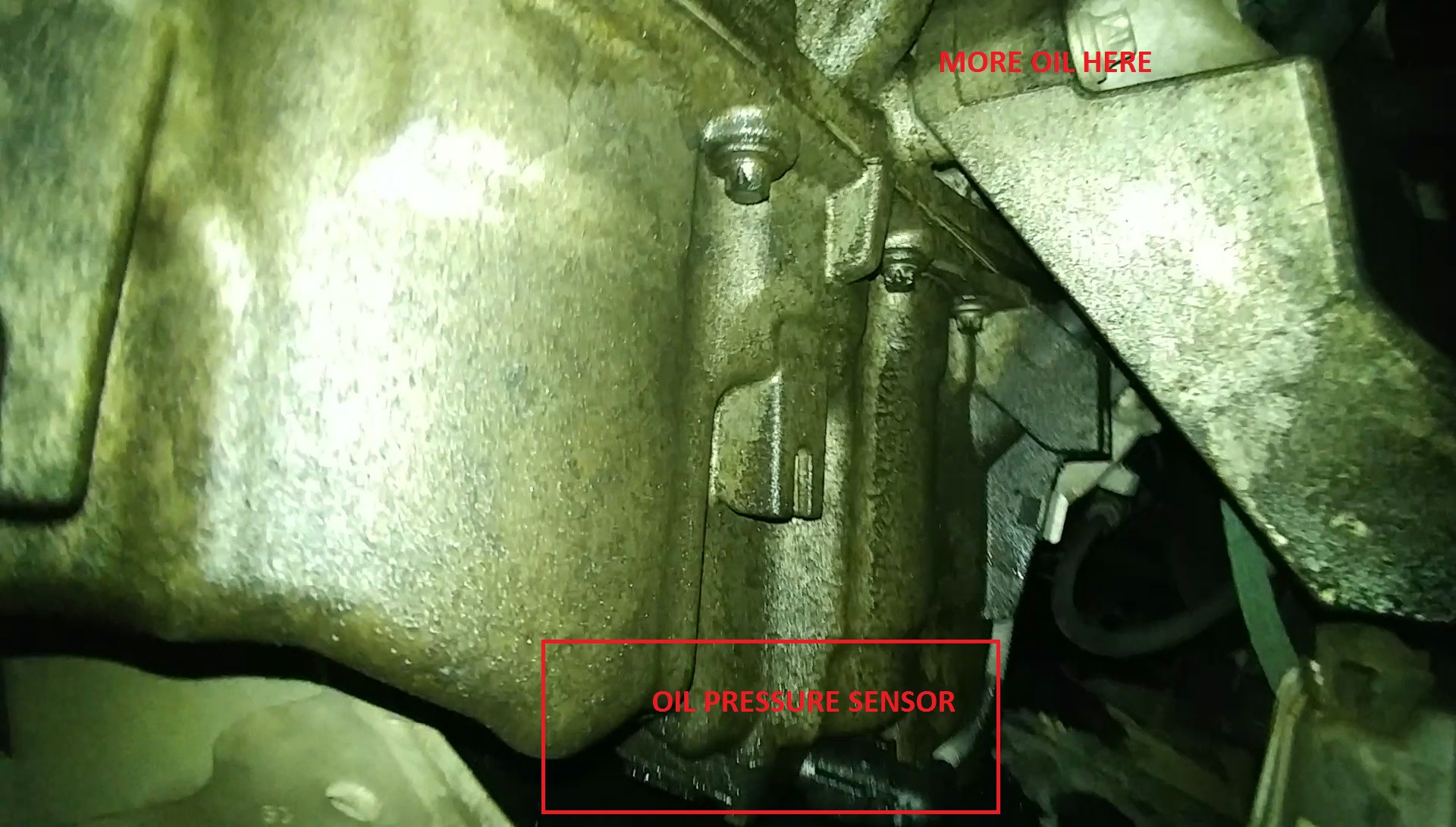 BMW 320d Coupe Oil Leak Motor Vehicle Maintenance & Repair Stack Exchange