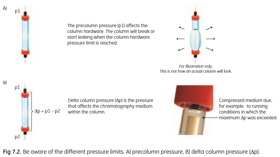 biochemistry Clarify precolumn pressure vs. system pressure vs