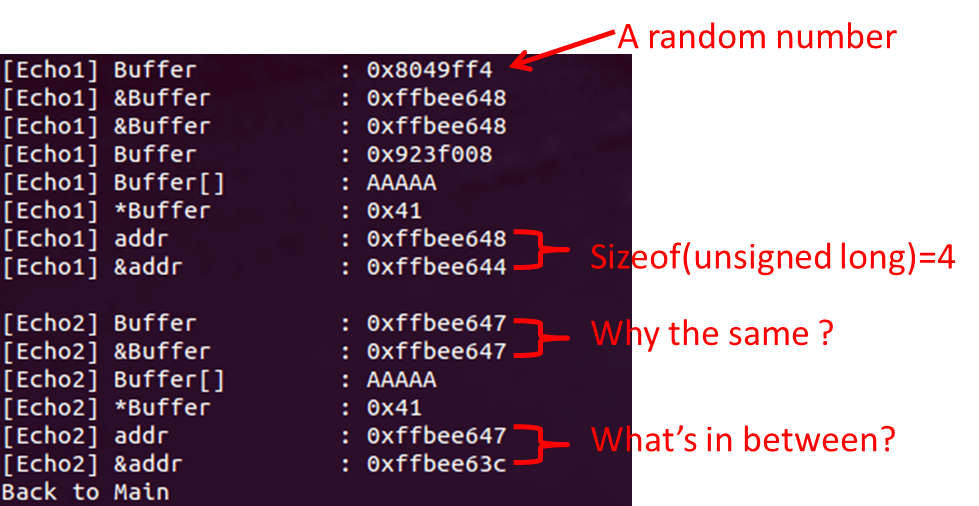 c memory allocation about char *buffer and char buffer[5] Stack