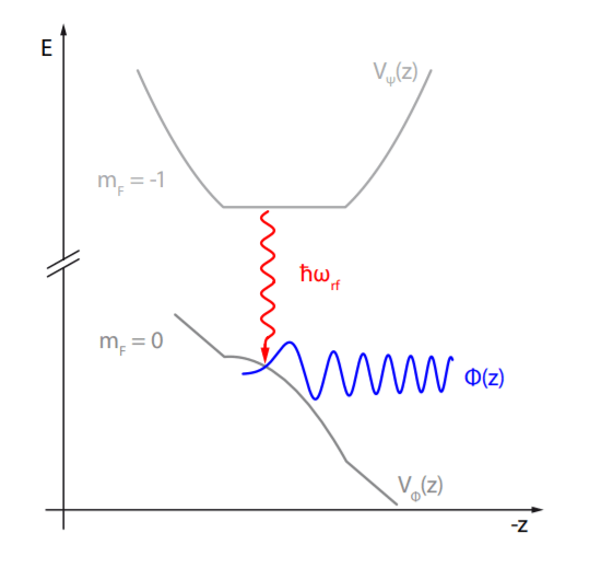 atomic physics Potential lineshapes of a BEC in a trap