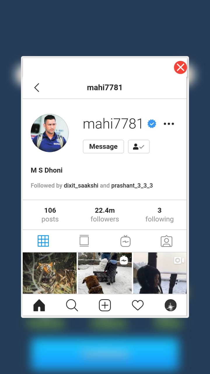 Flutter open webview inside the Dialog Stack Overflow