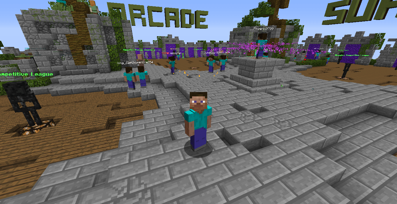 minecraft I can't see skins in 1.10.2 Arqade