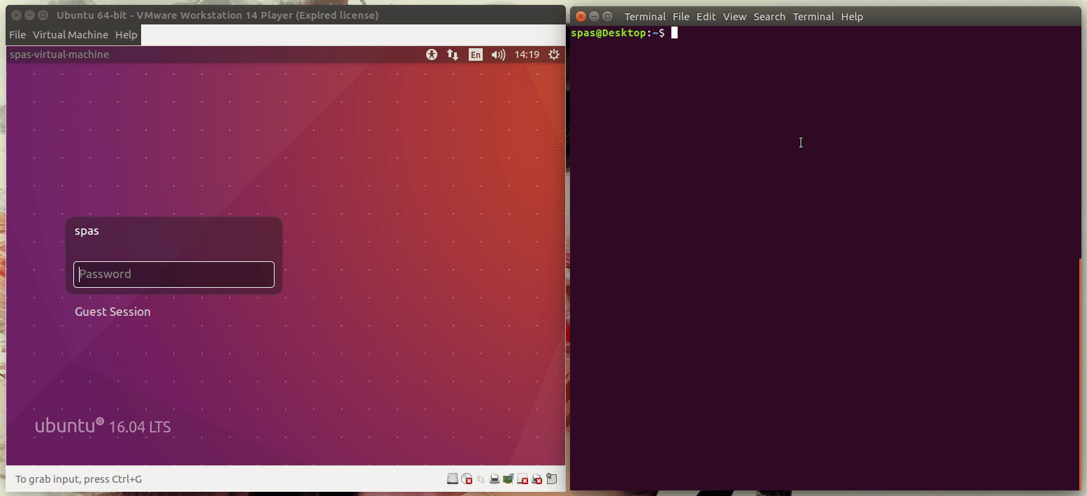 command line How to run script (.sh) files in a new terminal after
