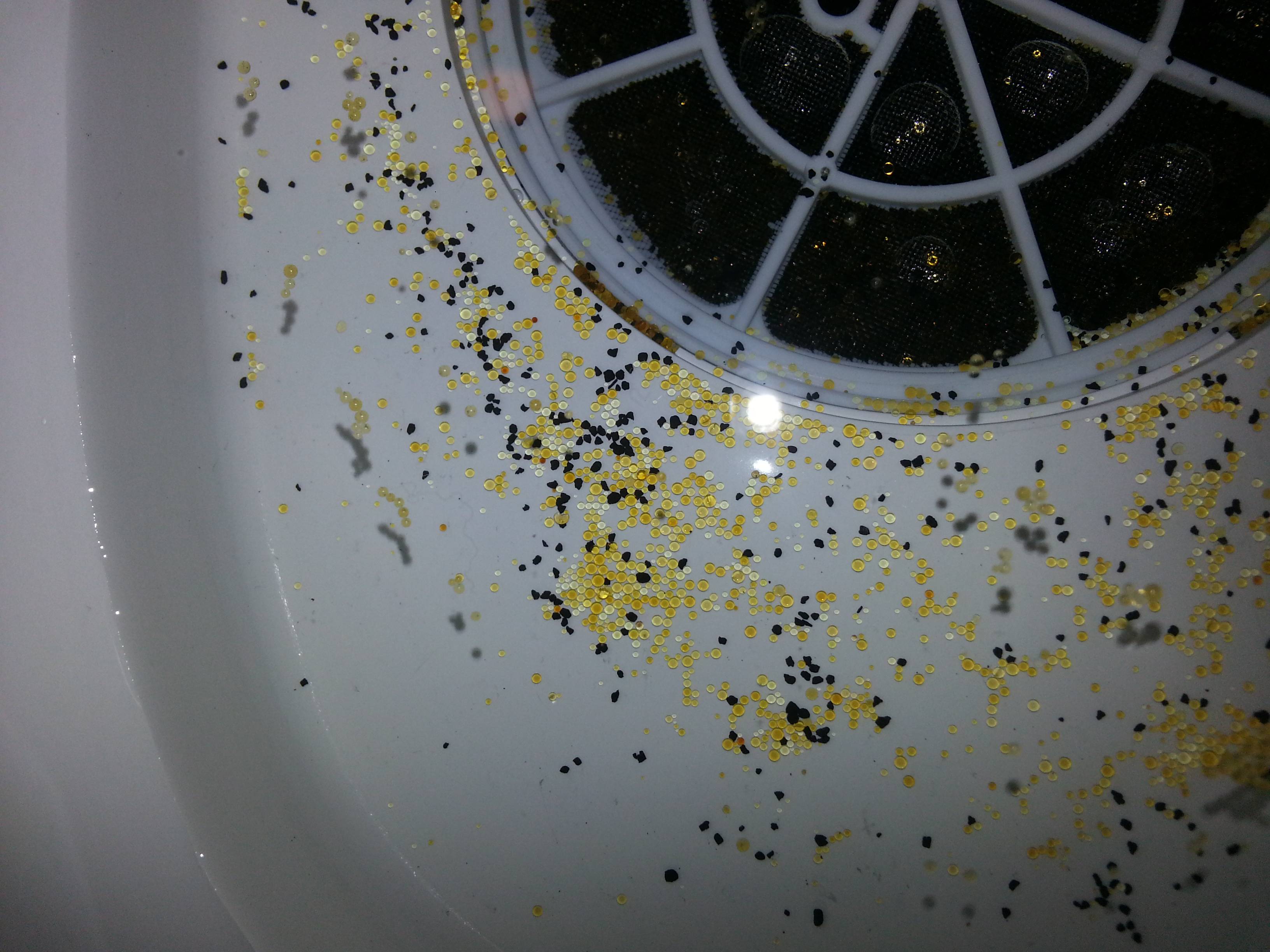 filtering Yellowamber debris above water filter What is it
