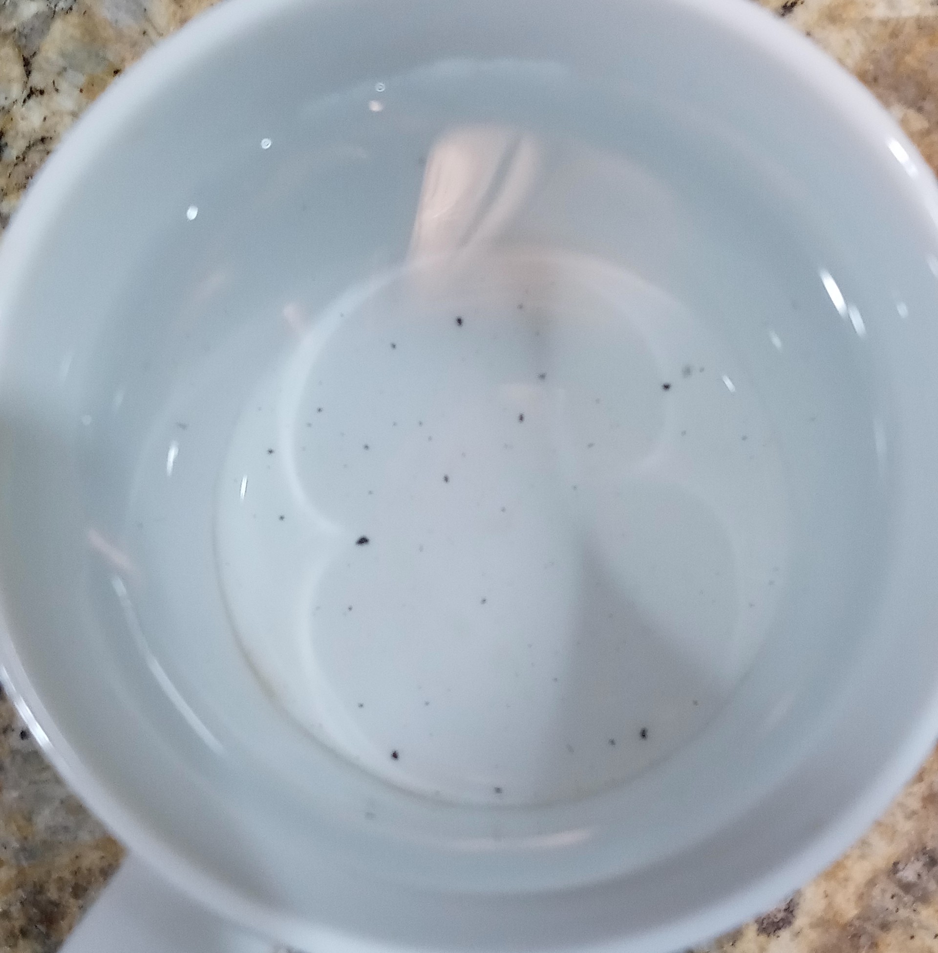 water Black specks from RO faucet after 24h purge Home Improvement