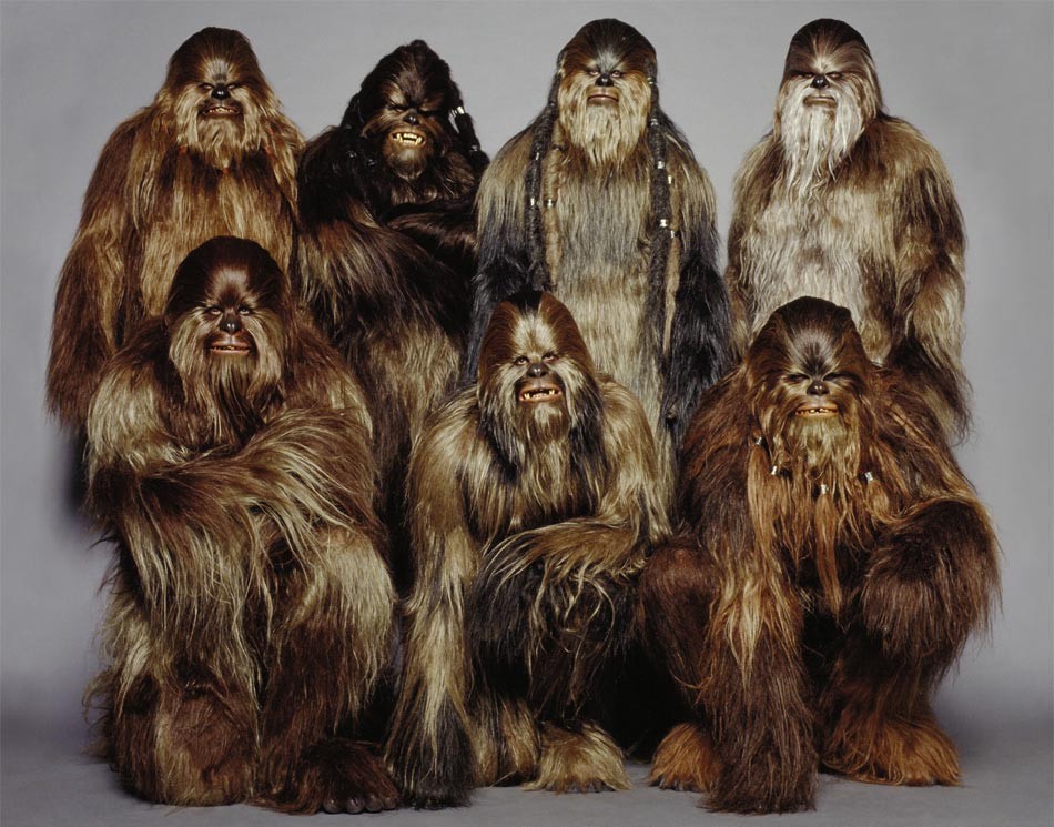 star wars What is Wookiee fur really made of? Science Fiction