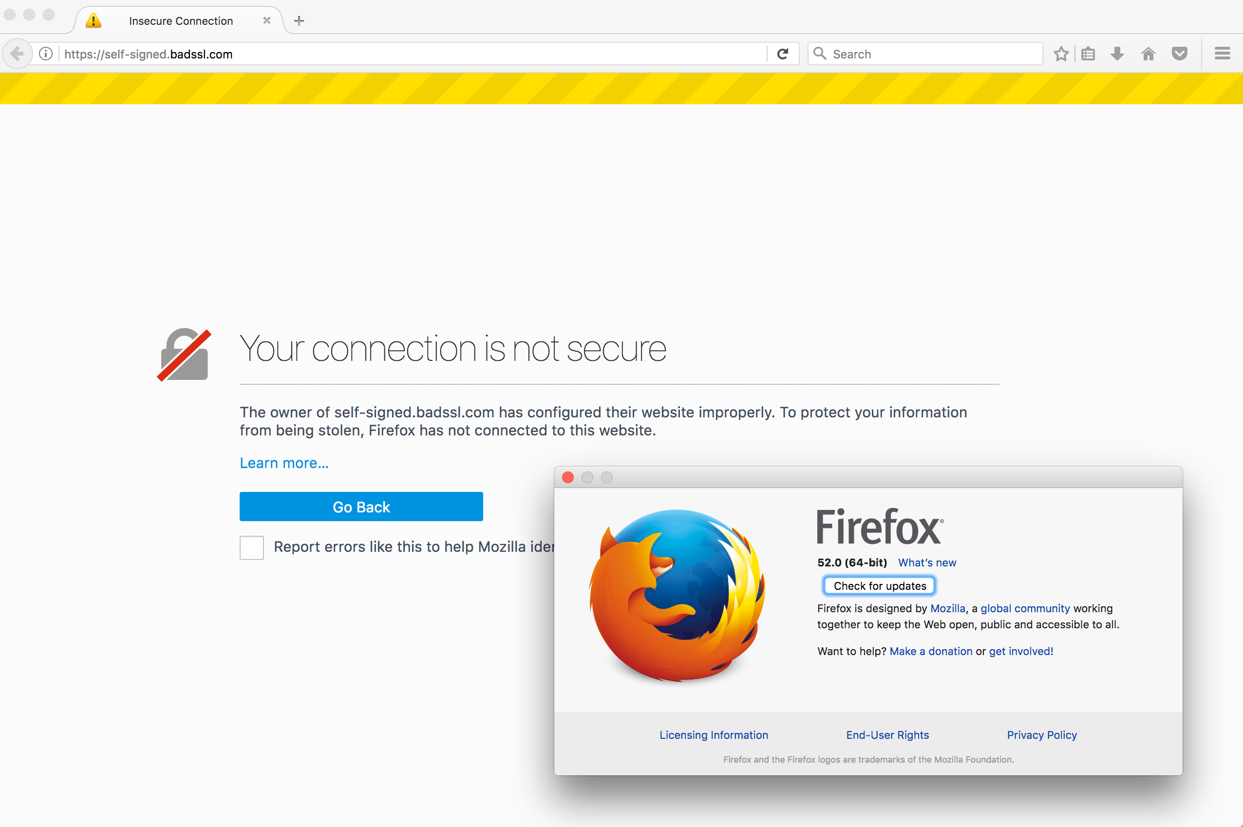 ruby Unable to bypass insecure certificate warning with