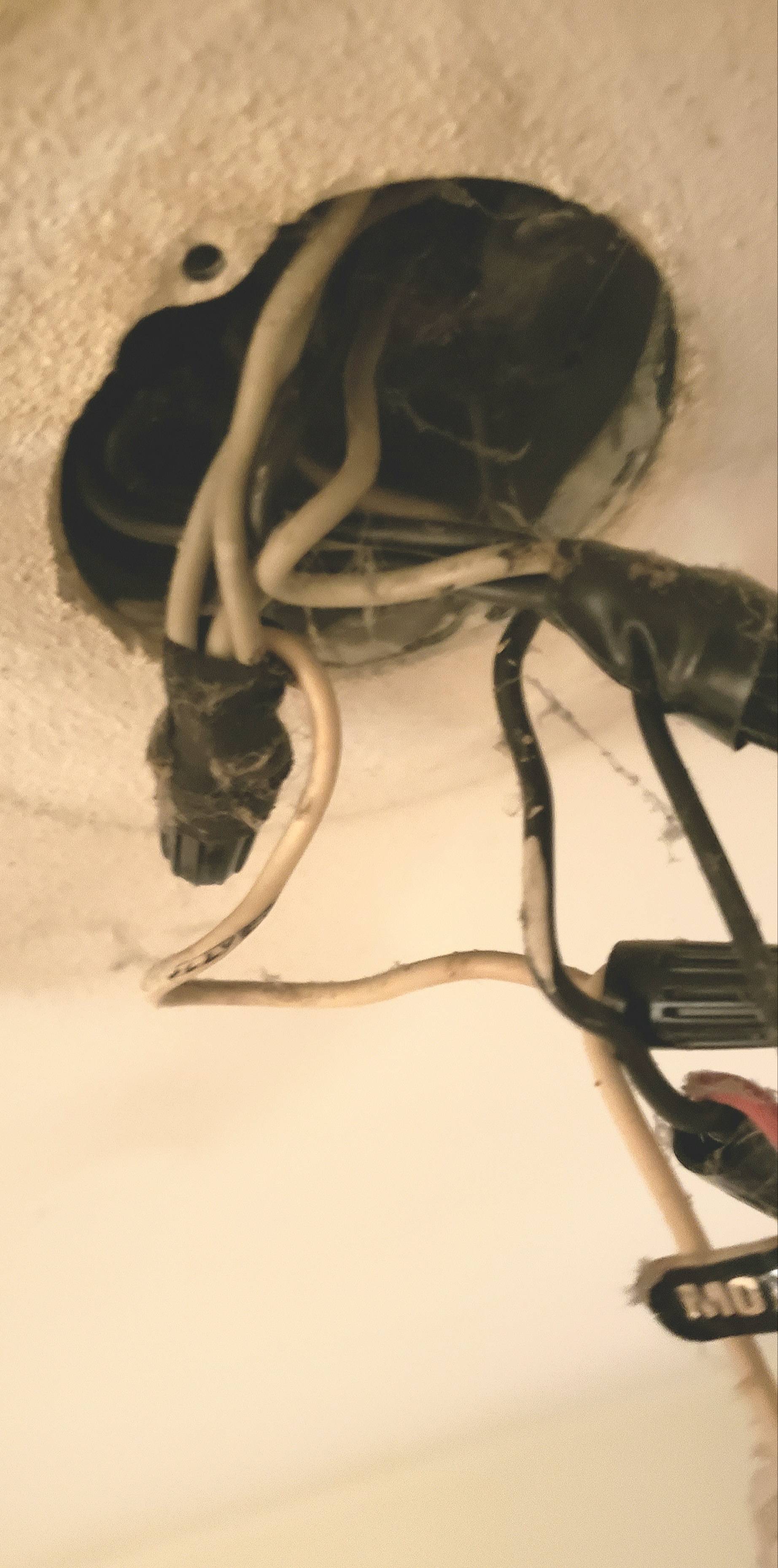 electrical - How to replace old ceiling fan-light with just a light