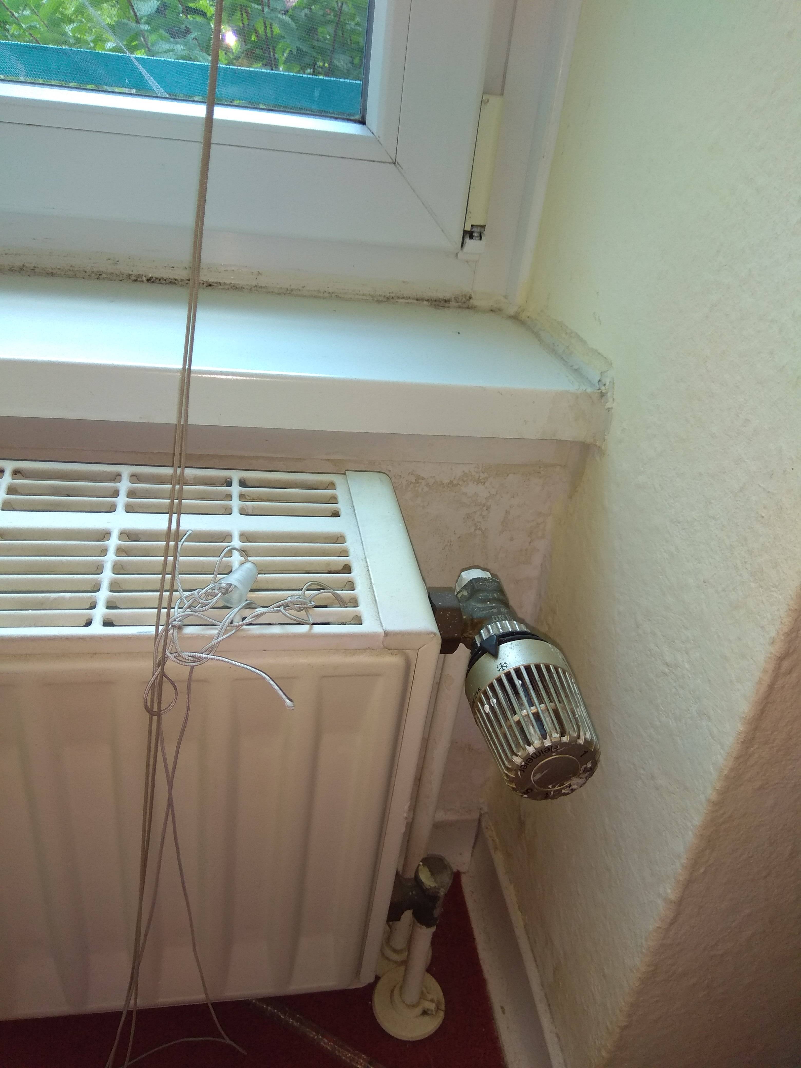 painting - Can I remove this mold by myself? - Home Improvement Stack