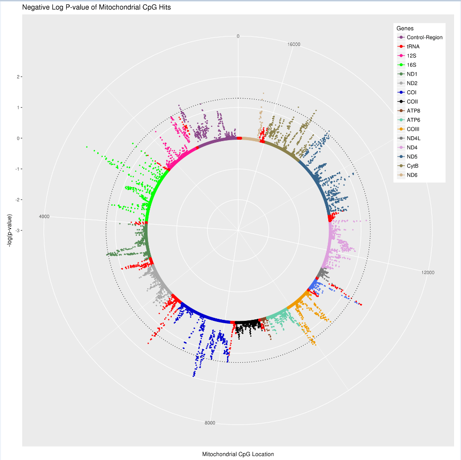 r Add a circular line chart inside a circular chart point with
