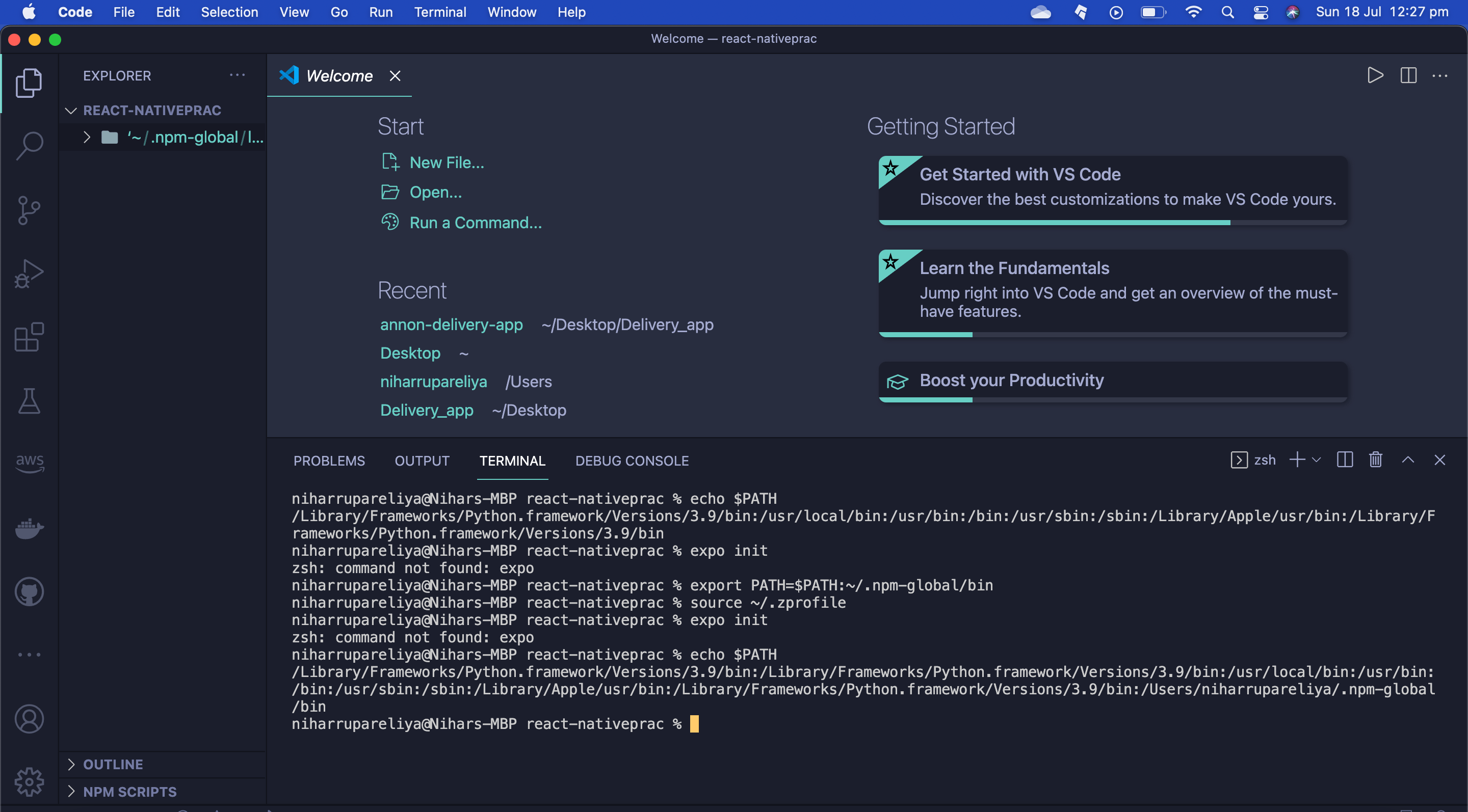 ios "zsh command not found expo" despite it being installed Stack