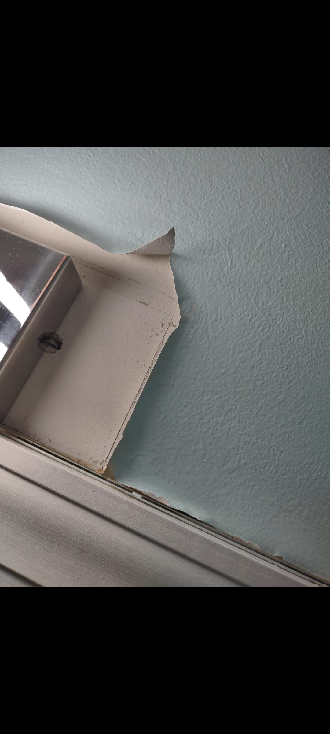 Paint not sticking to drywall Home Improvement Stack Exchange