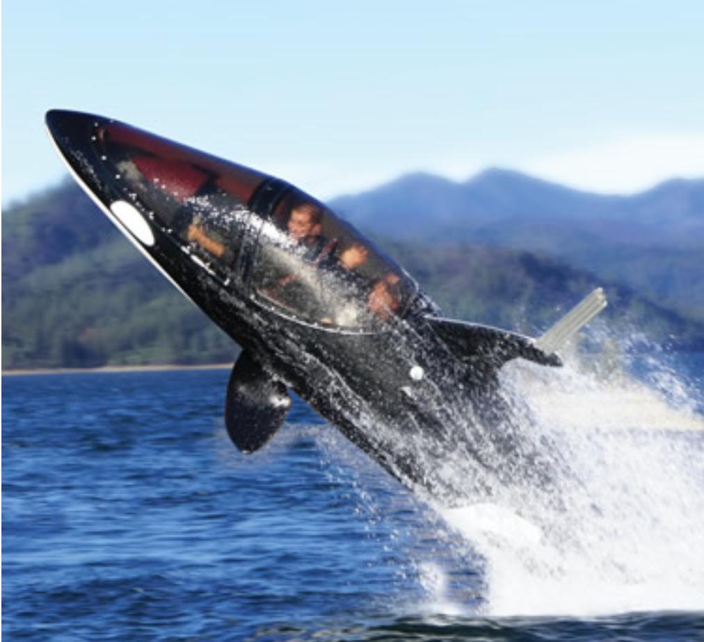 where on earth A place to rent a killer whale submarine? Travel