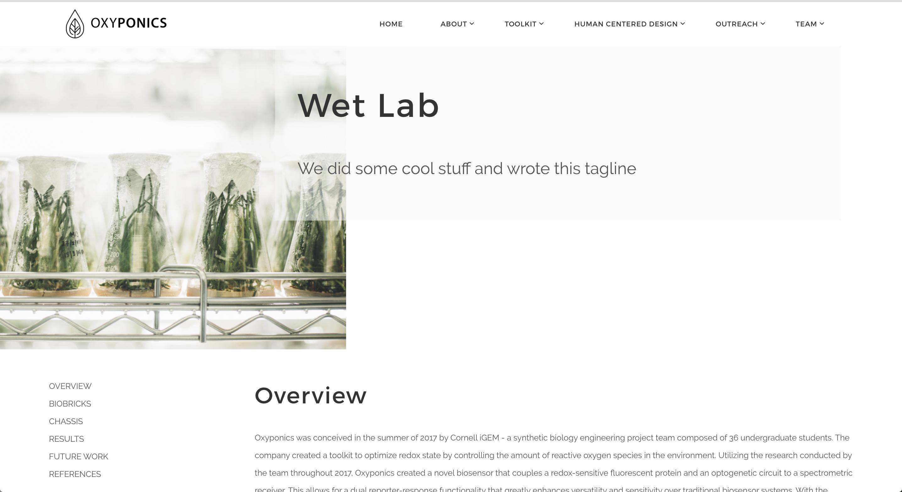 html Prevent container div from covering absoluterelative div in