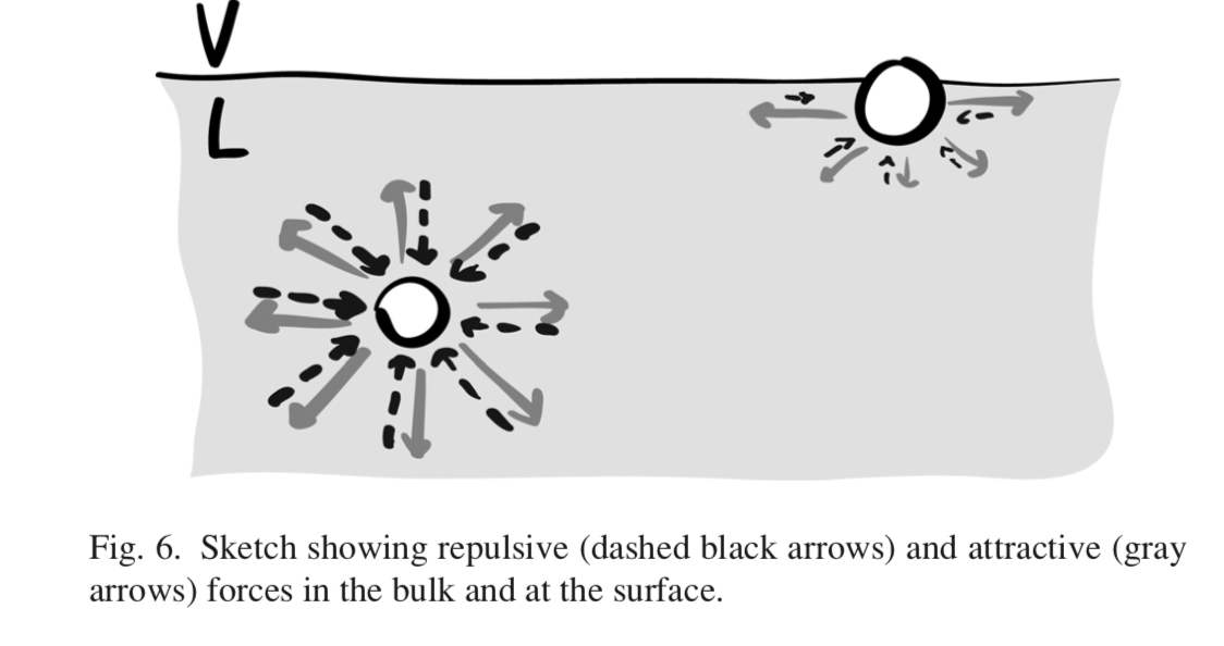 Equilibrium Surface Tension
