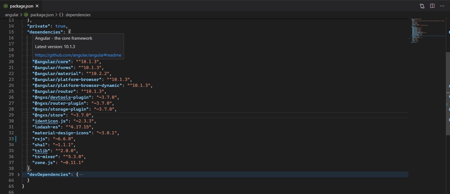 visual studio code VSCode shows wrong npm package info in package