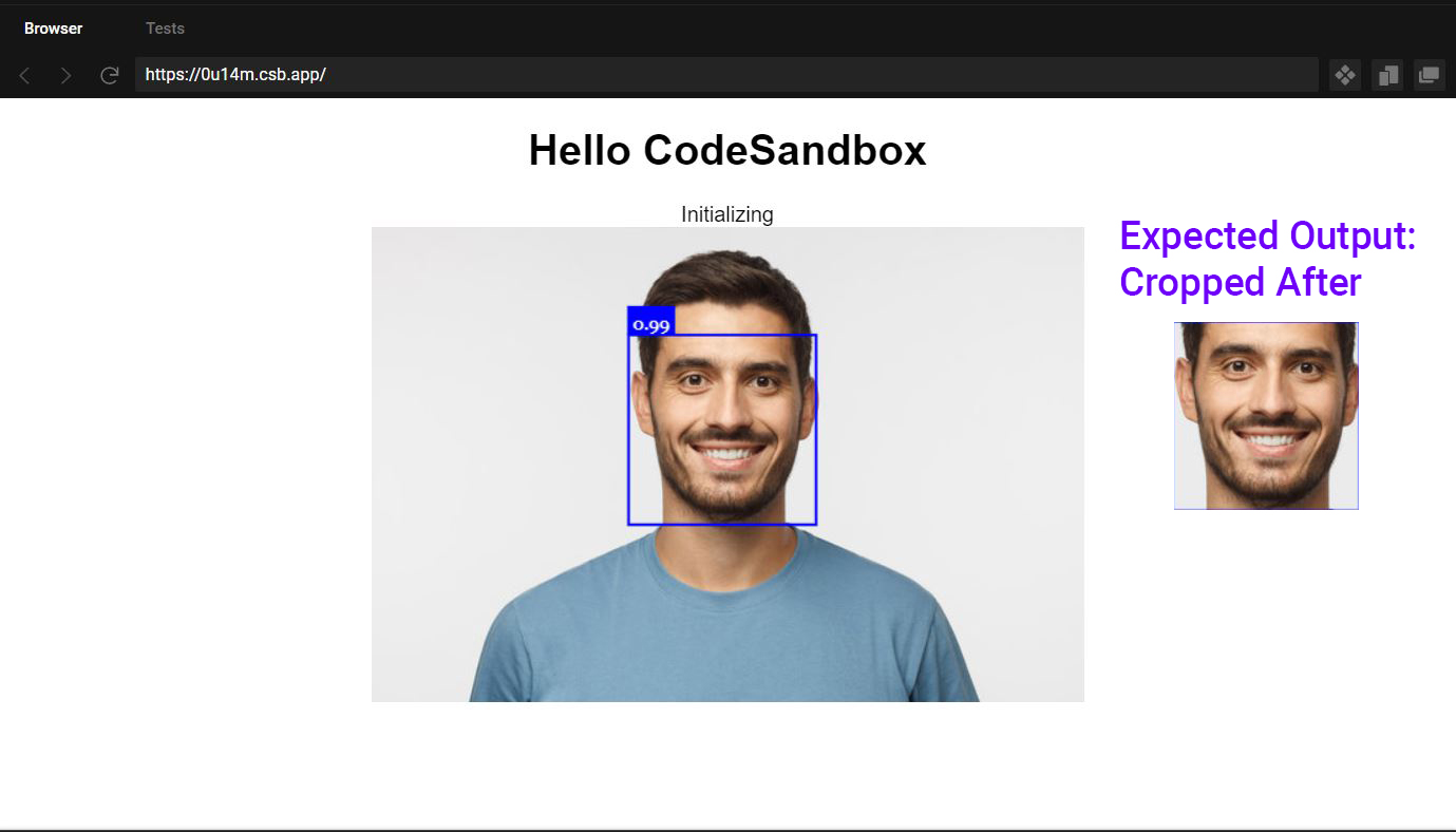 36 Face Recognition Api Javascript Modern Javascript Blog