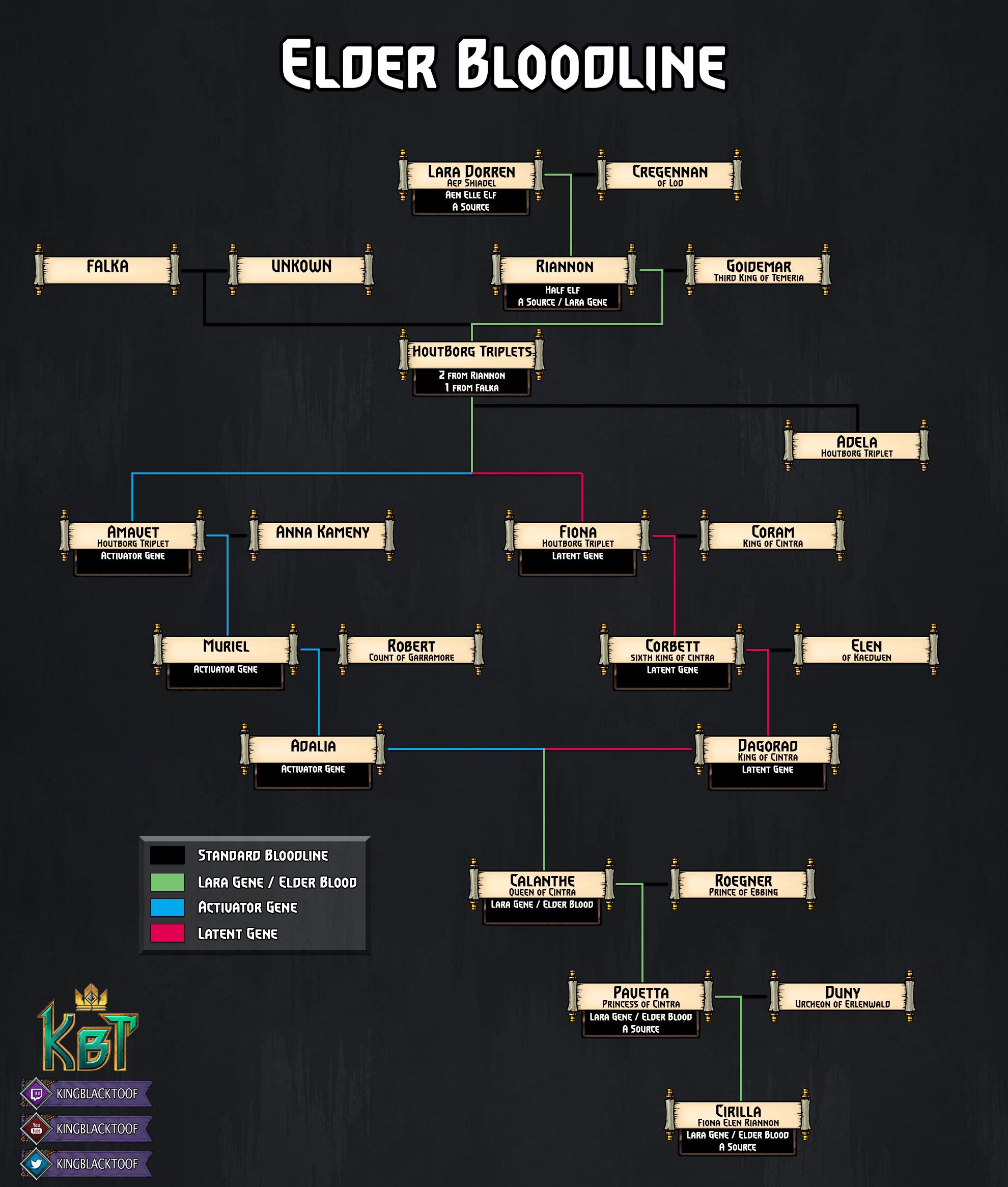 the witcher What is the distinction between Elders and elves, if any? Science Fiction