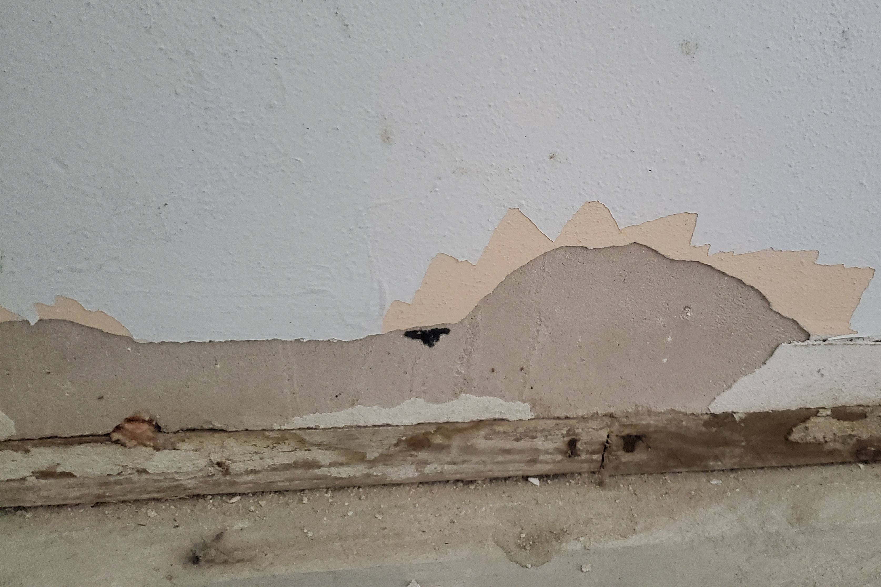 How do I identify and repair this drywall damage? - Home Improvement