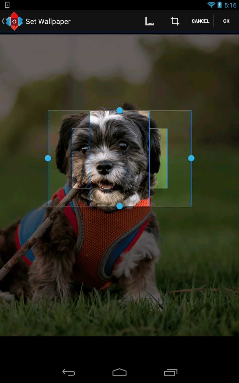 Android Crop/Zoom/Pan library for Wallpaper app? Similar to Nova