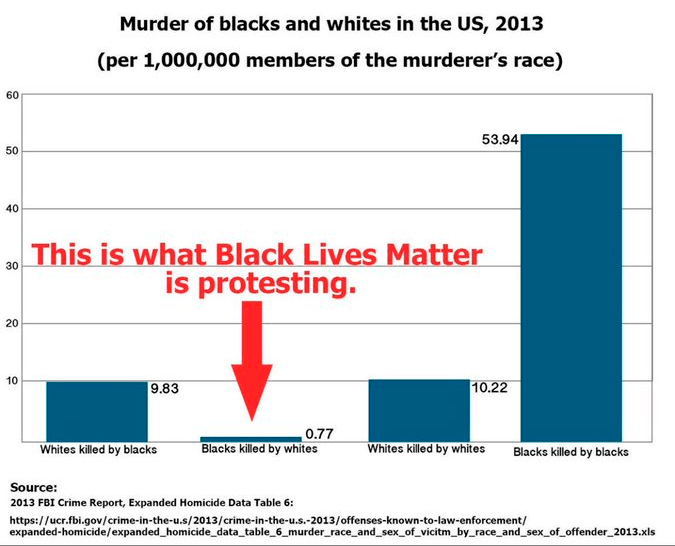 united states Is this "whites killed by whites" diagram wrong