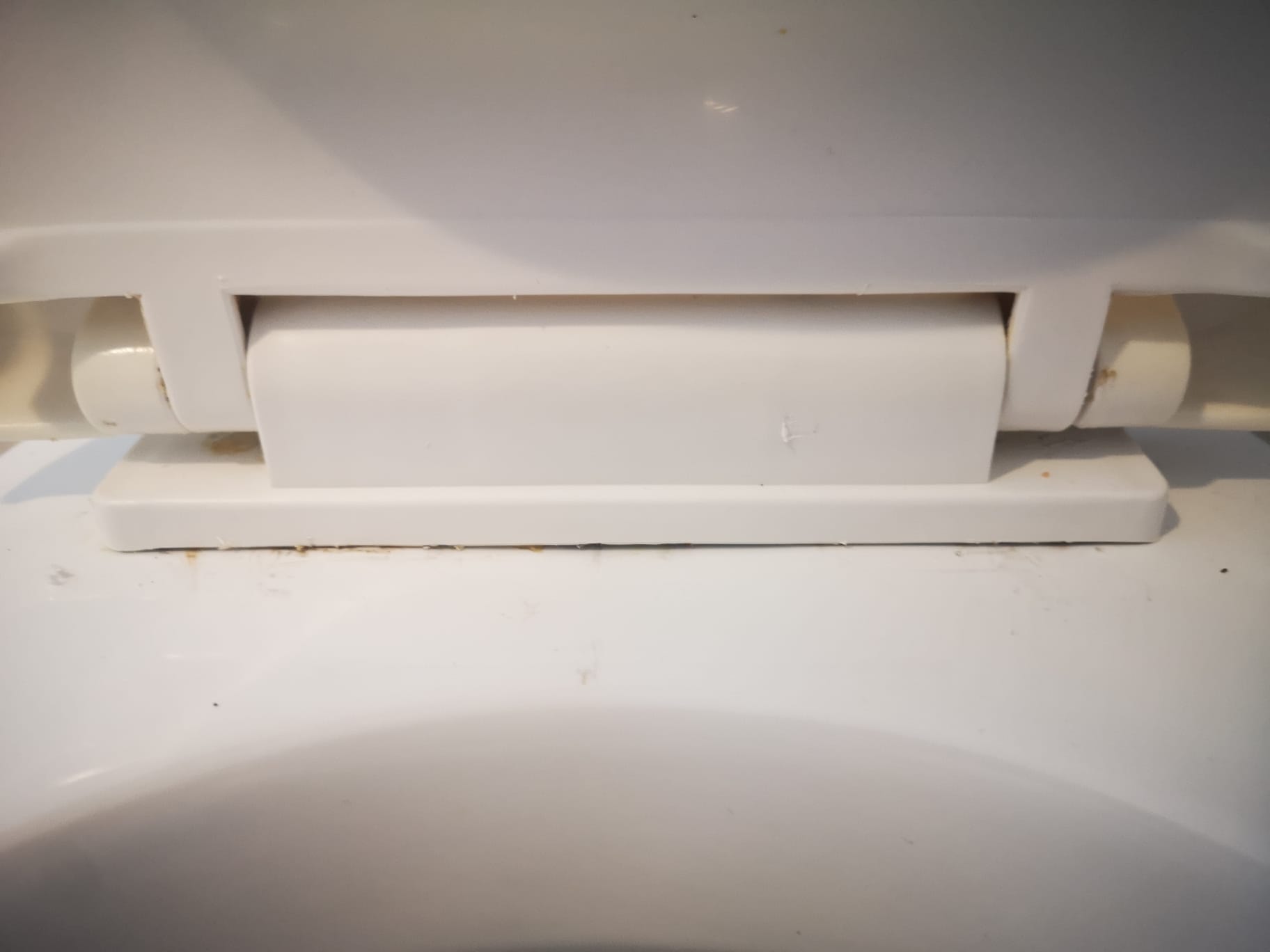 plumbing Removing toilet seat cover Home Improvement Stack Exchange