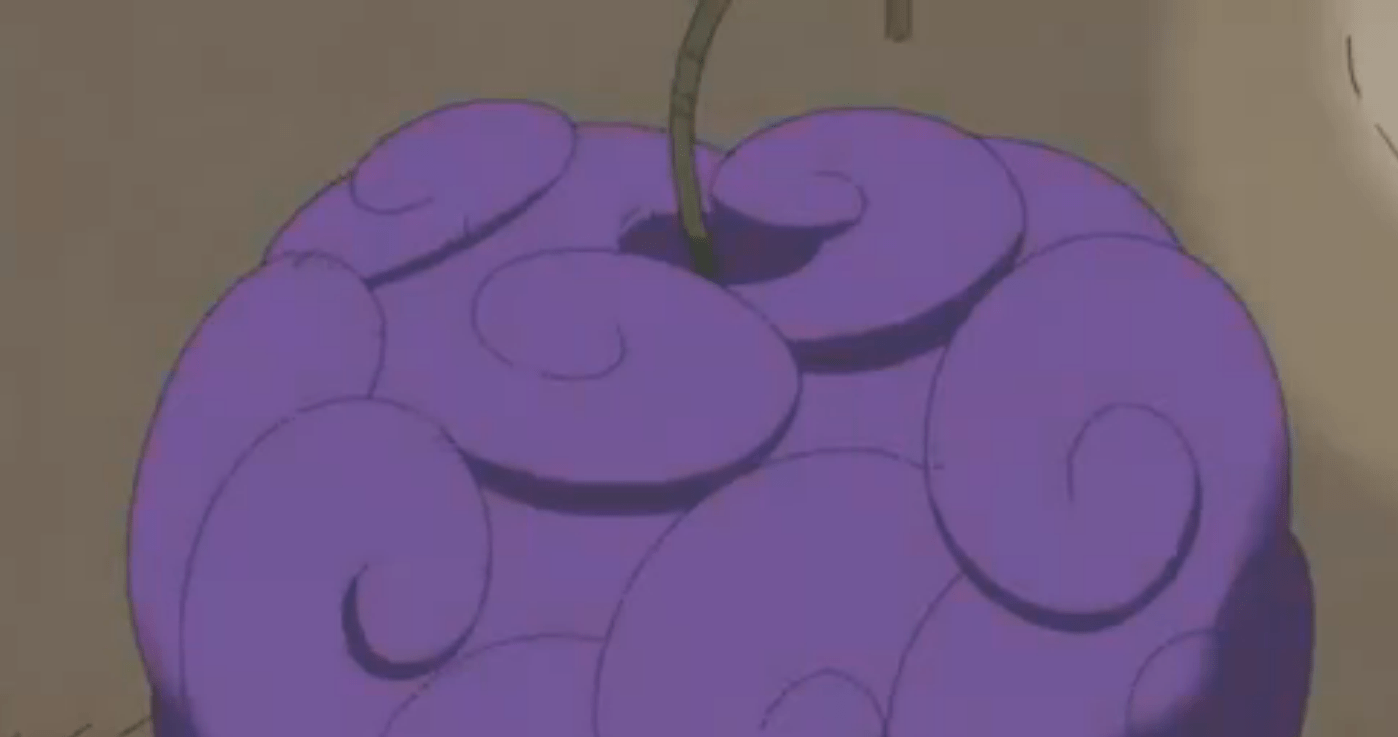 one piece Which devil fruit is this, and what happend to it? Anime