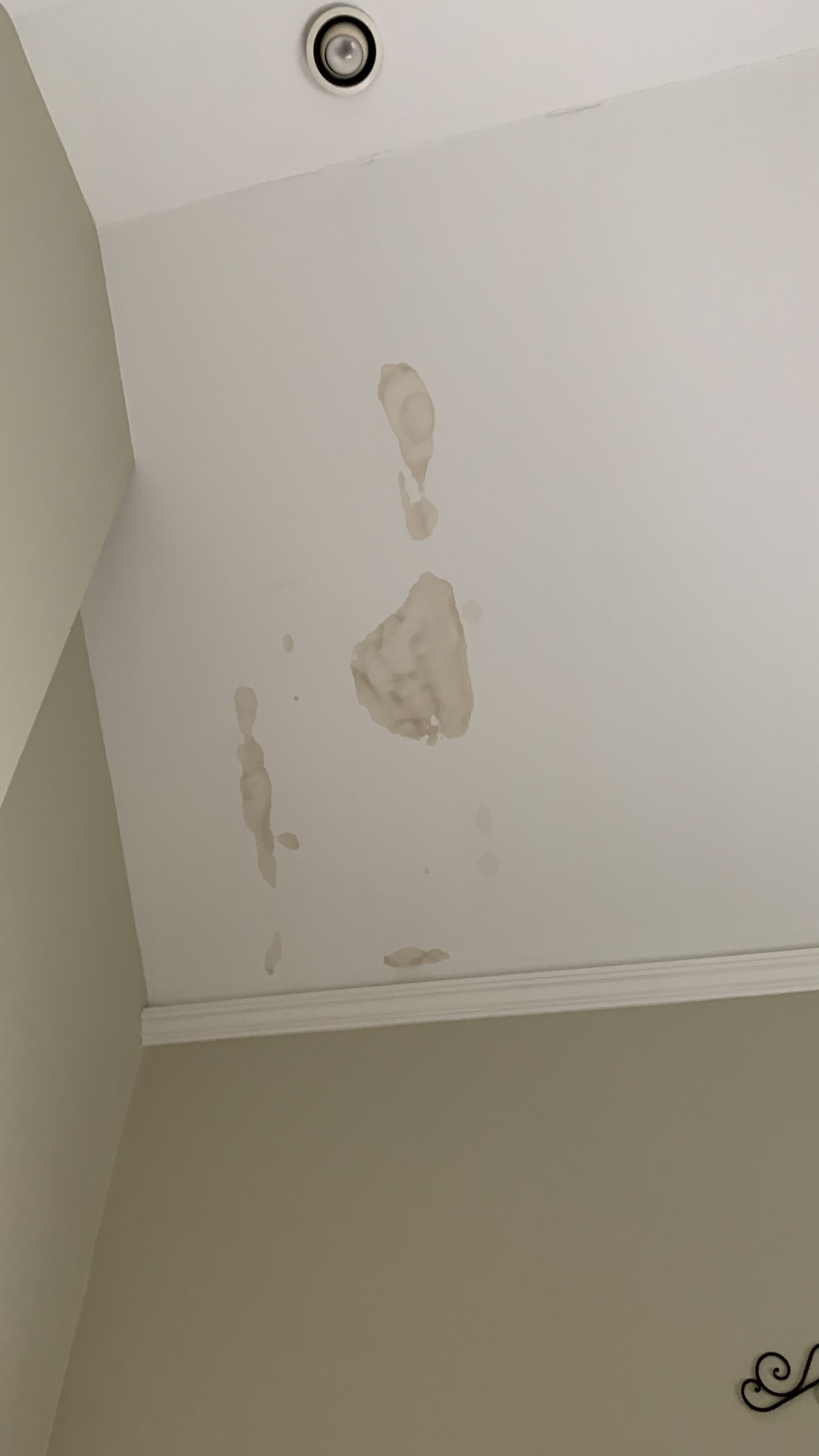 Drywall repair ceiling leak stains Love & Improve Life