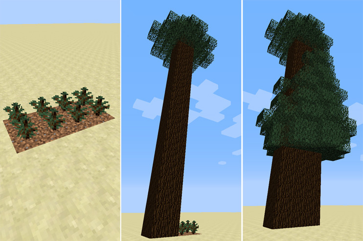Minecraft Dark Oak Sapling